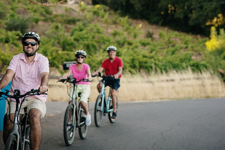 Halbtägige geführte elektrische Fahrrad Weinprobe Tour mit Mittagessen