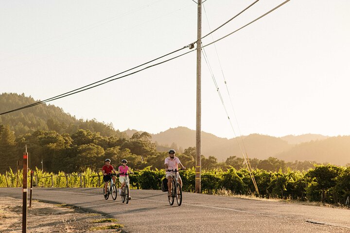 Halbtägige geführte elektrische Fahrrad Weinprobe Tour mit Mittagessen