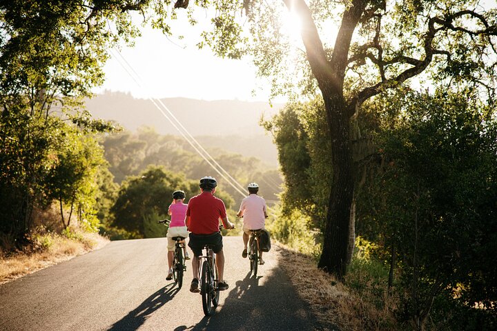 Halbtägige geführte elektrische Fahrrad Weinprobe Tour mit Mittagessen