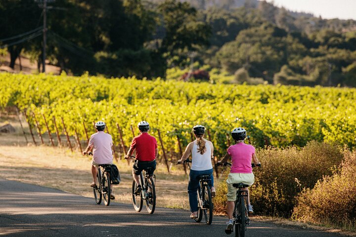 Halbtägige geführte elektrische Fahrrad Weinprobe Tour mit Mittagessen