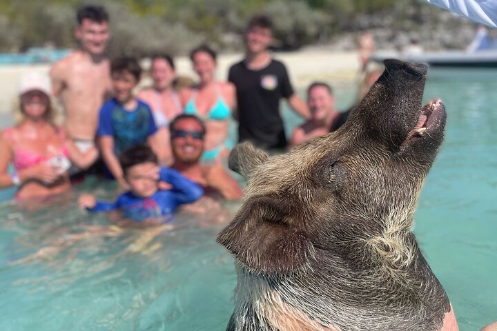 Gran Exuma: Tour en barco privado de saltos de isla con cerdos nadadores