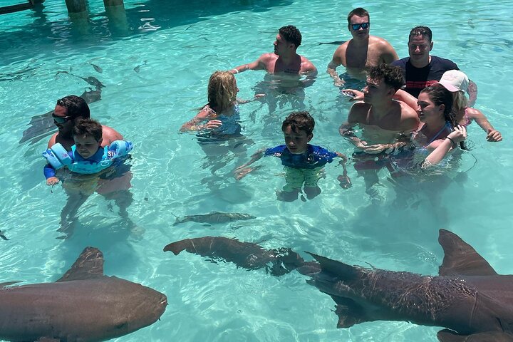 Gran Exuma: Tour en barco privado de saltos de isla con cerdos nadadores