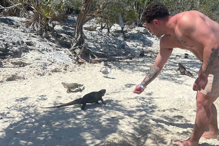 Gran Exuma: Tour en barco privado de saltos de isla con cerdos nadadores