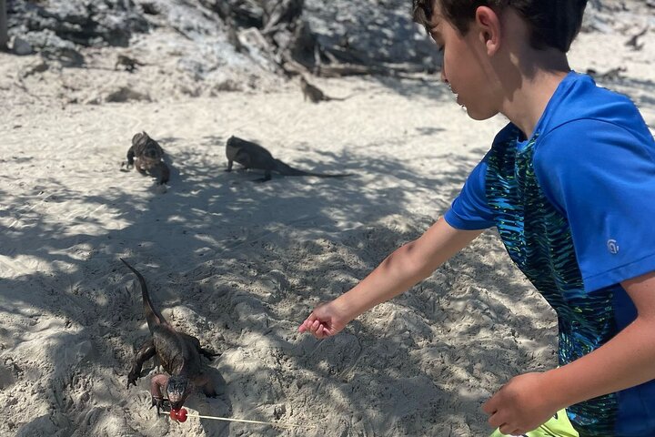 Gran Exuma: Tour en barco privado de saltos de isla con cerdos nadadores