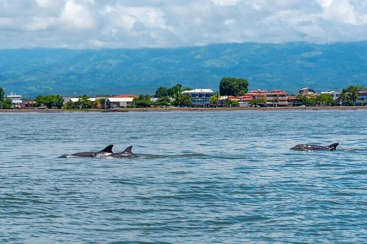 Tortuga Island, från Puntarenas, snorkling och lunch ingår!