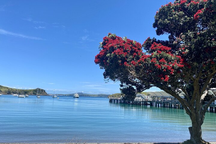 Gourmetmat- og vintur på Waiheke Island
