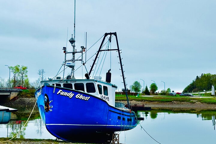 Bay Of Fundy Guided Tour