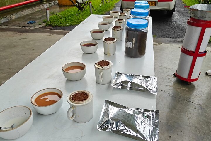 Dibrugarh Tea Tour, Singpho landsby med lunsj, Digboi olje museum