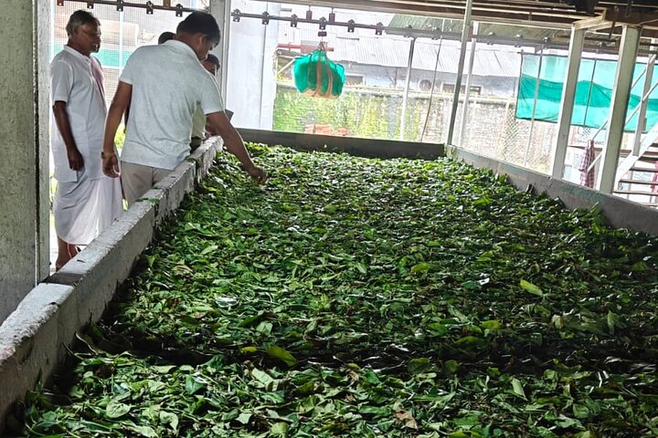 Dibrugarh Tea Tour, Singpho landsby med lunsj, Digboi olje museum