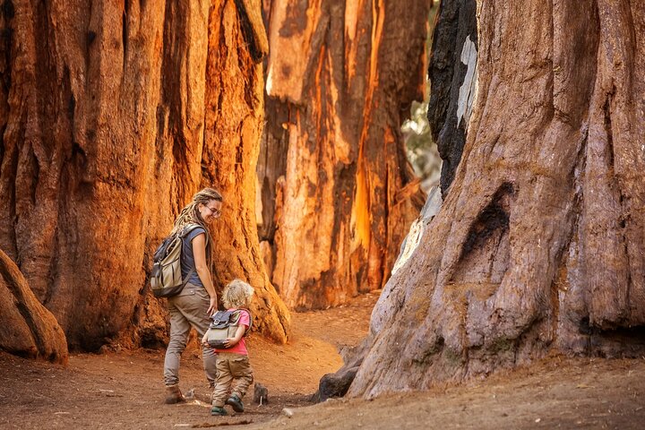 Sequoia en Kings Canyon audiotour Zelfgids Nationaal Park Tour