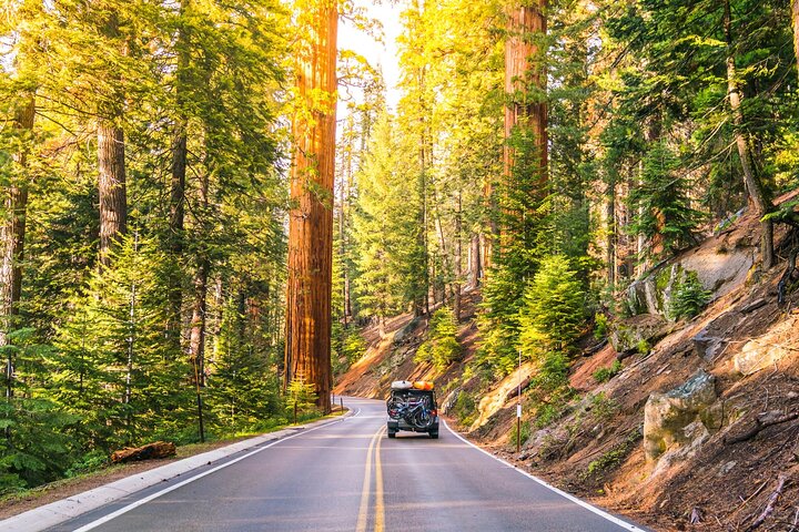 Sequoia en Kings Canyon audiotour Zelfgids Nationaal Park Tour