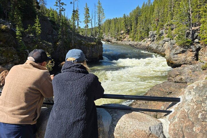Yellowstone National Park - PRIVATE Ganztages-Rundfahrt von Jackson Hole