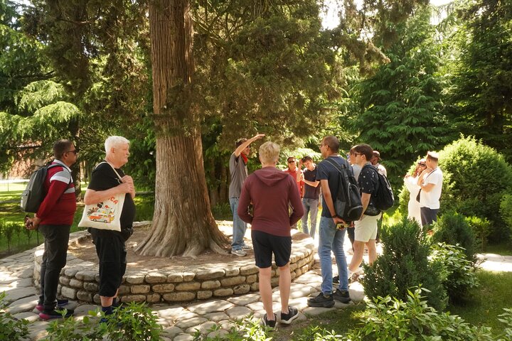 Kakheti Wine Region Tour + 10 Premium Wine Tastings & Sunset