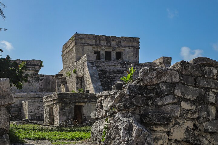 Tulum Ruinen, Schildkröten in Akumal und Cenote Tour