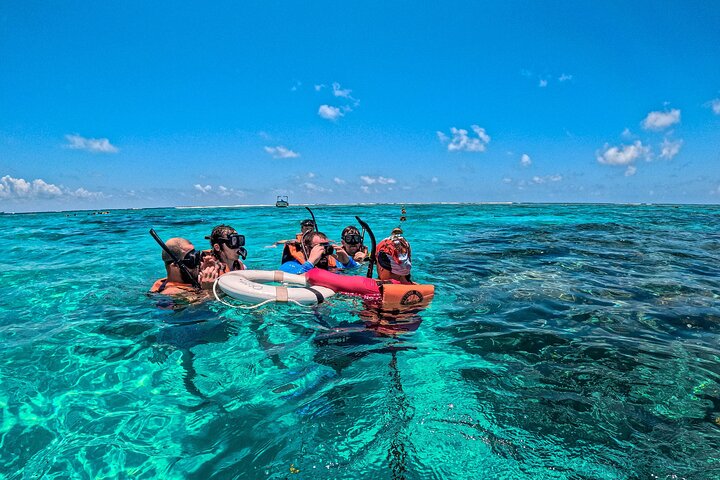 Tulum Ruinen, Schildkröten in Akumal und Cenote Tour