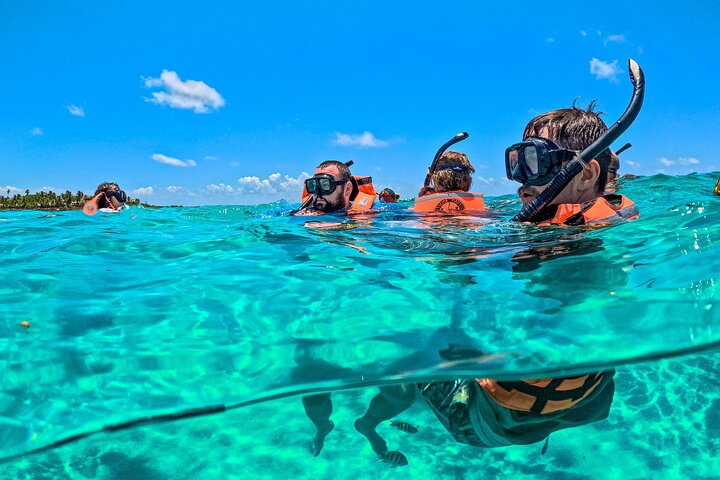 Tulum Ruinen, Schildkröten in Akumal und Cenote Tour