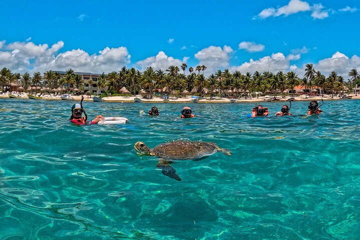 Tulum Ruinen, Schildkröten in Akumal und Cenote Tour