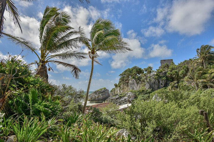 Tulum Ruinen, Schildkröten in Akumal und Cenote Tour
