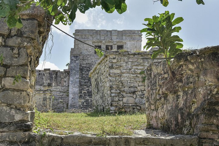 Tulum Ruinen, Schildkröten in Akumal und Cenote Tour