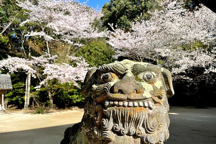 De Fukuoka Kyushu Itoshima Hidden Gems Day Tour