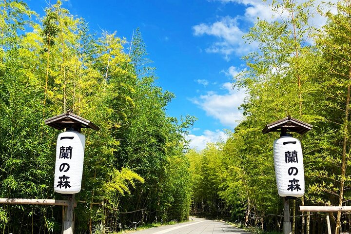 De Fukuoka Kyushu Itoshima Hidden Gems Day Tour