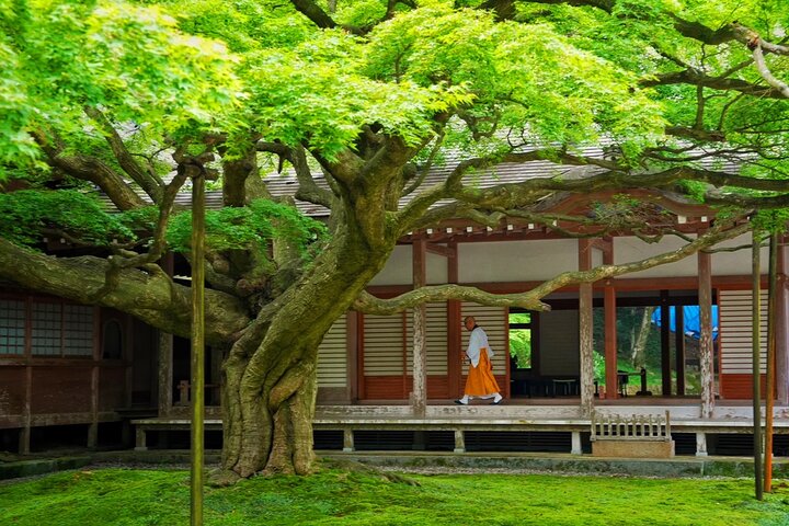 De Fukuoka Kyushu Itoshima Hidden Gems Day Tour