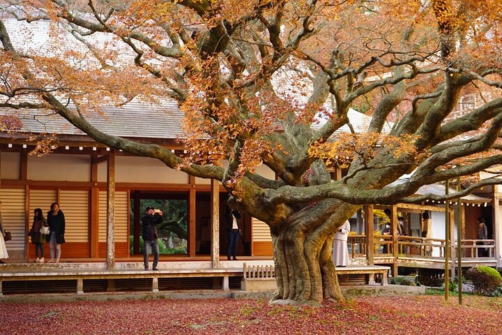 De Fukuoka Kyushu Itoshima Hidden Gems Day Tour