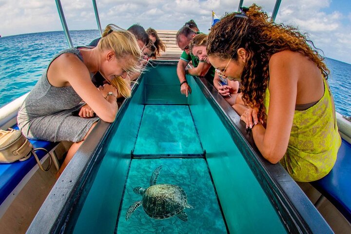 Miami to Key West Day Trip with Activity Options