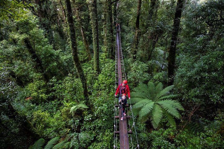 Hoteller i nærheden af Rotorua Canopy Tours: 2.5Hour Native Forest Zipline Adventure