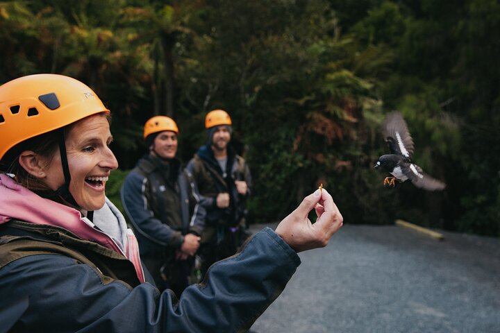 Hoteller i nærheden af Rotorua Canopy Tours: 2.5Hour Native Forest Zipline Adventure