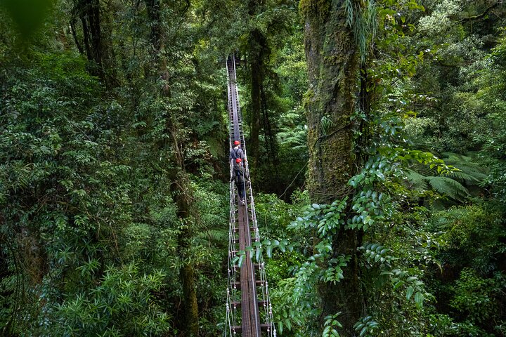 Hoteller i nærheden af Rotorua Canopy Tours: 2.5Hour Native Forest Zipline Adventure