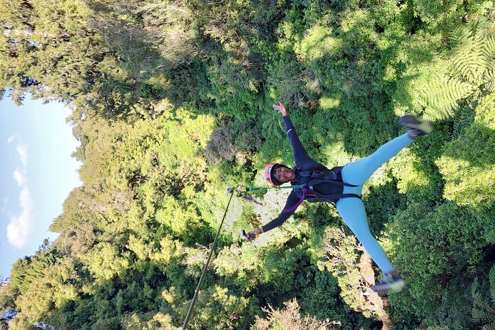 Hoteller i nærheden af Rotorua Canopy Tours: 2.5Hour Native Forest Zipline Adventure