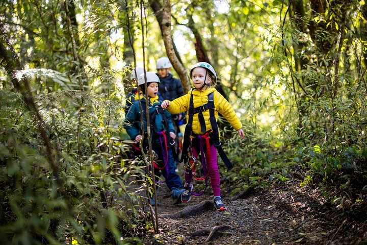 Hoteller i nærheden af Rotorua Canopy Tours: 2.5Hour Native Forest Zipline Adventure
