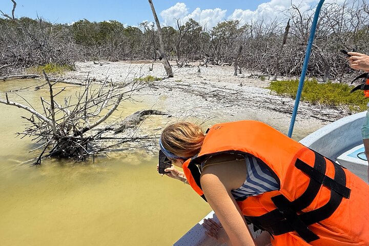 Rio Lagartos e Las Coloradas - Esperienza safari nella natura di 4 ore