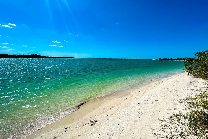 Rio Lagartos e Las Coloradas - Esperienza safari nella natura di 4 ore