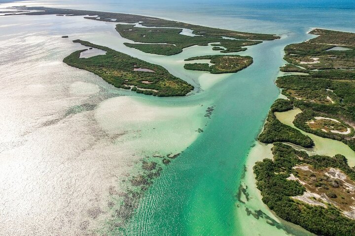 Rio Lagartos e Las Coloradas - Esperienza safari nella natura di 4 ore