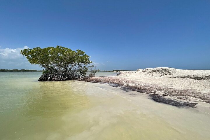 Rio Lagartos e Las Coloradas - Esperienza safari nella natura di 4 ore