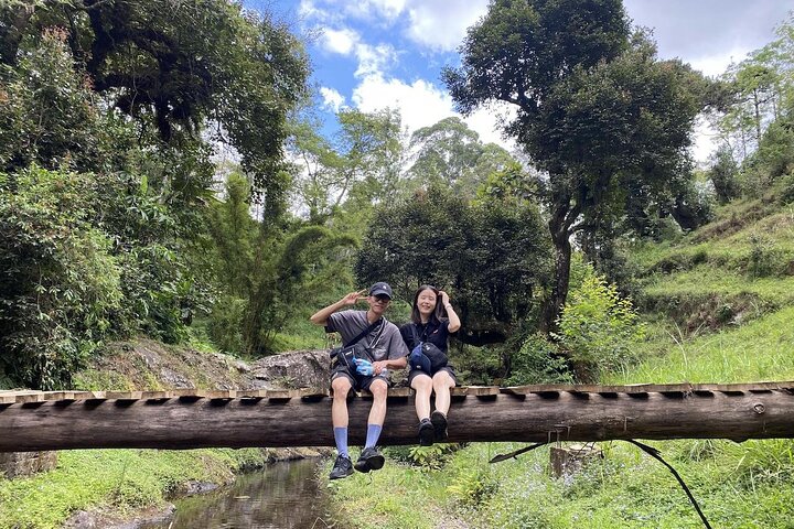 Tour del Kilimanjaro : Café, Cascada, Cuevas, almuerzo (Todo Incluido)