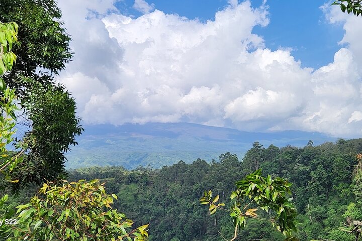Tour del Kilimanjaro : Café, Cascada, Cuevas, almuerzo (Todo Incluido)