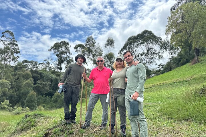 Tour del Kilimanjaro : Café, Cascada, Cuevas, almuerzo (Todo Incluido)