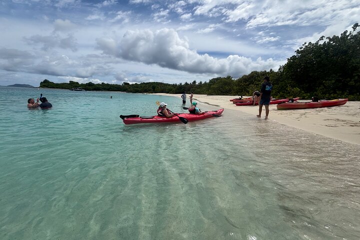 Hoteller i nærheden af Kayak & Snorkel med Sea Turtles