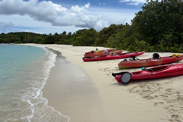 Hoteller i nærheden af Kayak & Snorkel med Sea Turtles