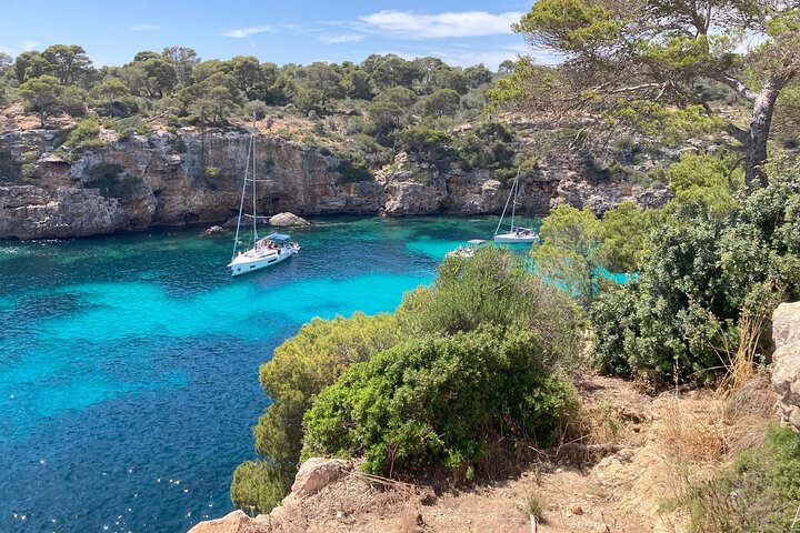 Angoli segreti e sapori di Maiorca Esperienza privata