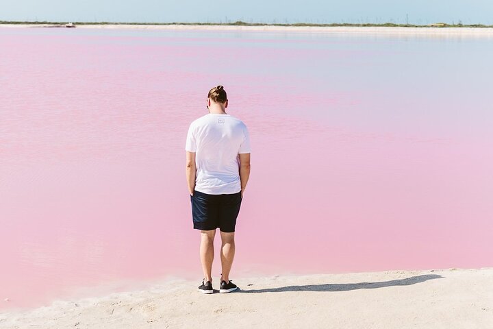 Rio Lagartos e Las Coloradas - Esperienza safari nella natura di 4 ore