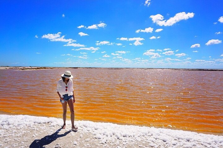 Rio Lagartos e Las Coloradas - Esperienza safari nella natura di 4 ore