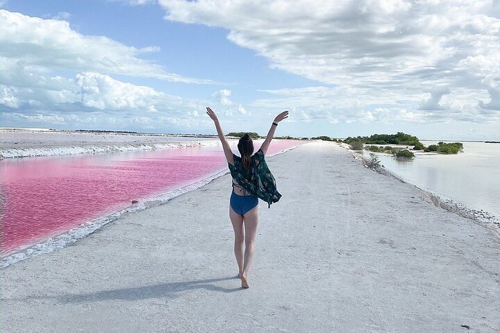 Rio Lagartos e Las Coloradas - Esperienza safari nella natura di 4 ore
