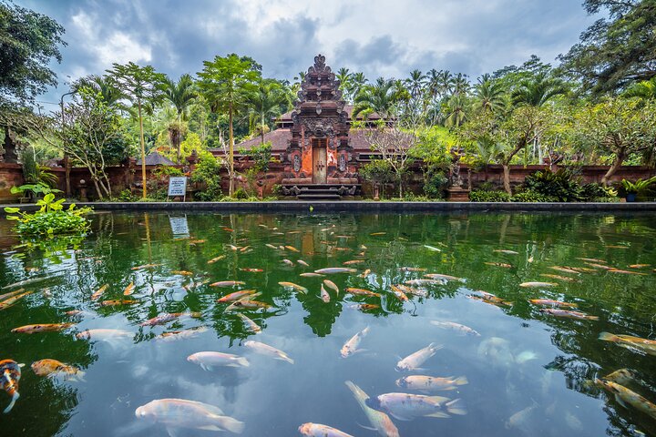 Ubud Private Tour: Waterfalls, Temple and Rice Terraces Swing
