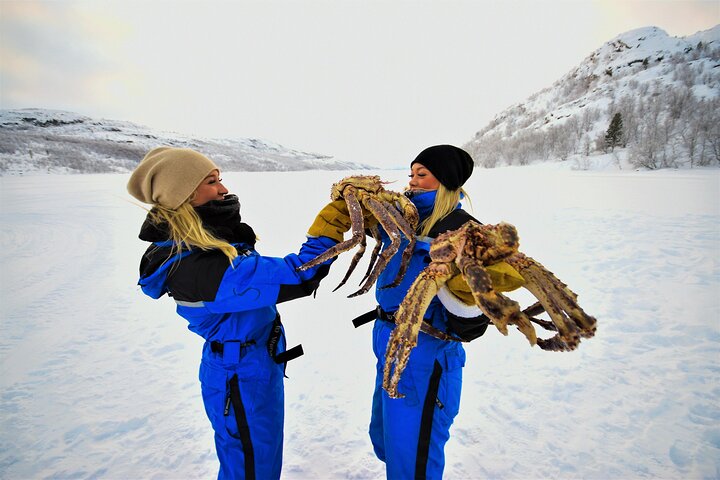 King Crab Safari og besøg et Snowhotel fra Saariselkä