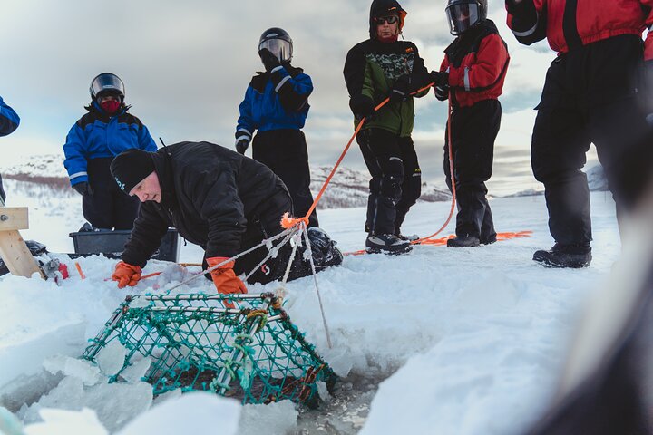 King Crab Safari og besøg et Snowhotel fra Saariselkä