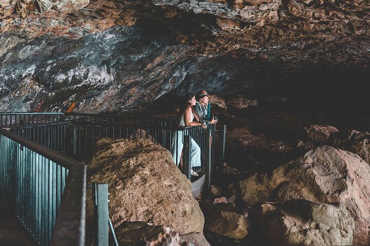 Springbrook andTamborine Rainforest Tour con ponte naturale e grotta dei vermi incandescenti